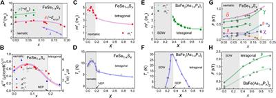 Electronic Nematic States Tuned by Isoelectronic Substitution in Bulk FeSe1−xSx